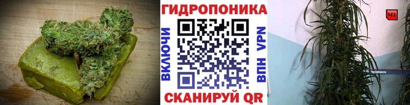 Еда ТГК конопля  закладка  Новокубанск 