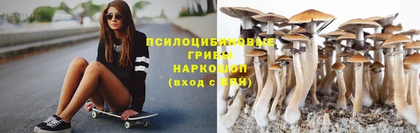 скорость Алзамай