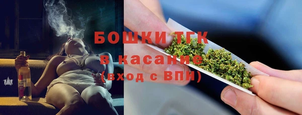 молекула духа Алексеевка