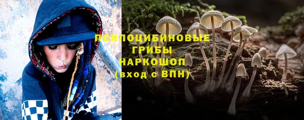 молекула духа Алексеевка