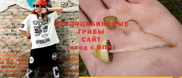 молекула духа Алексеевка